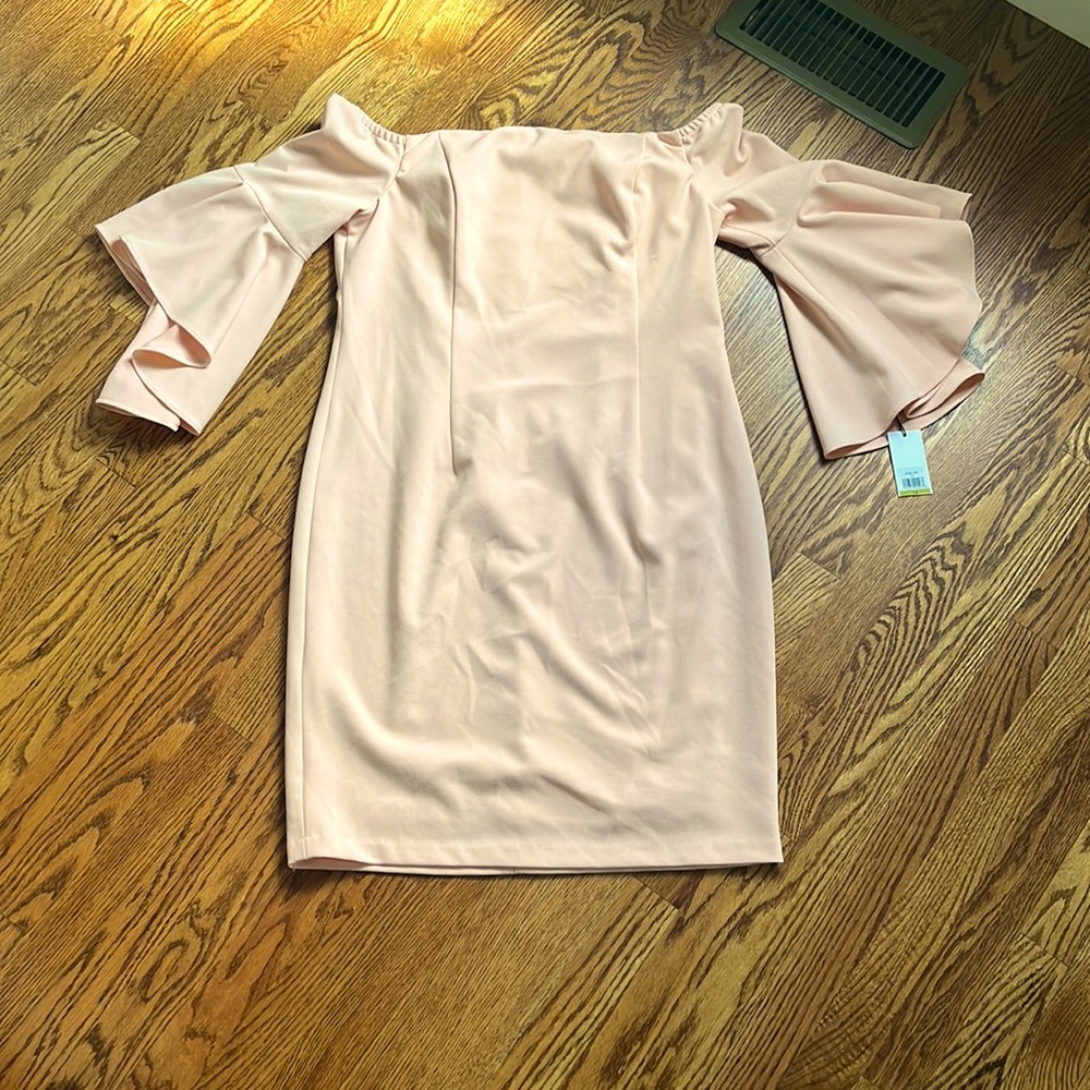 Calvin Klein Women's Sleeveless Fitted Cocktail Sheath Dress